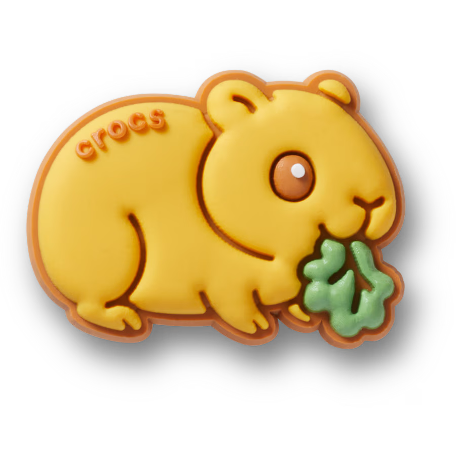 Pet Hamster With Lettuce