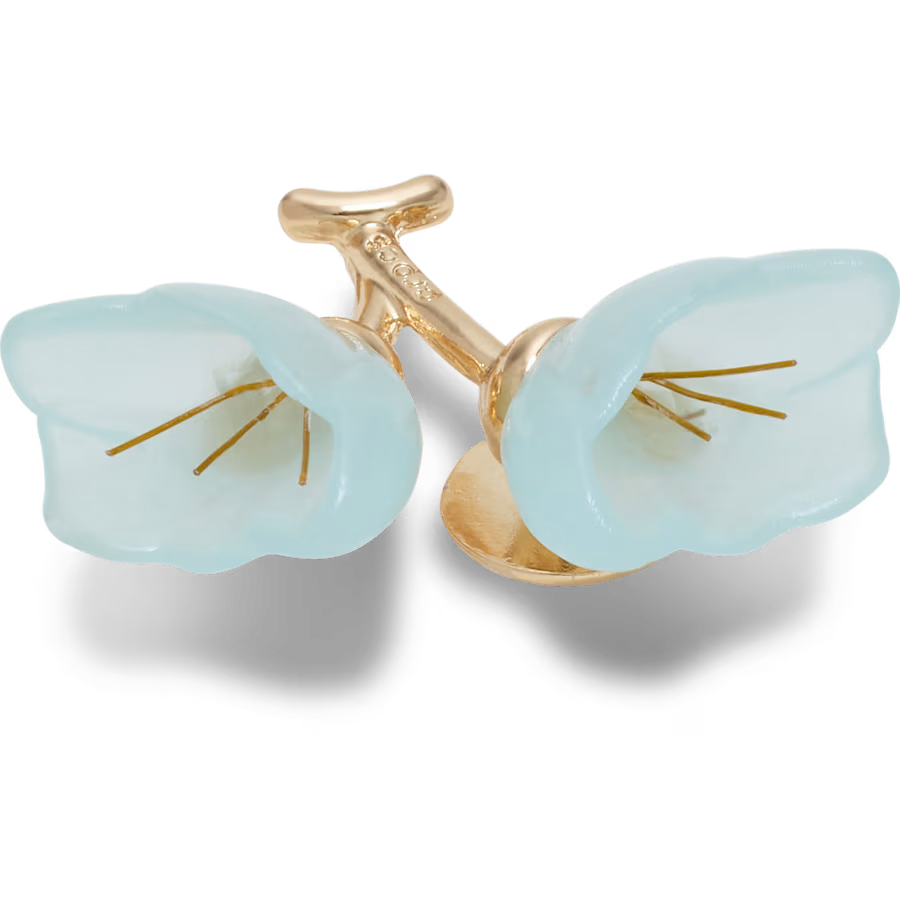 Blue and Gold Flower Blossom