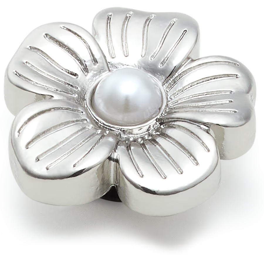 Silver Mnchrm Daisy 2