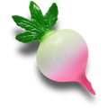 Realistic Radish