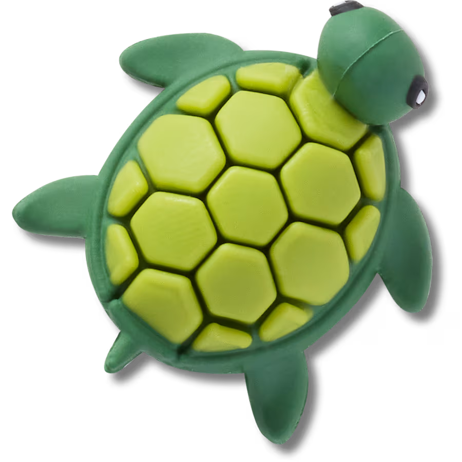 3D UV Changing Turtle