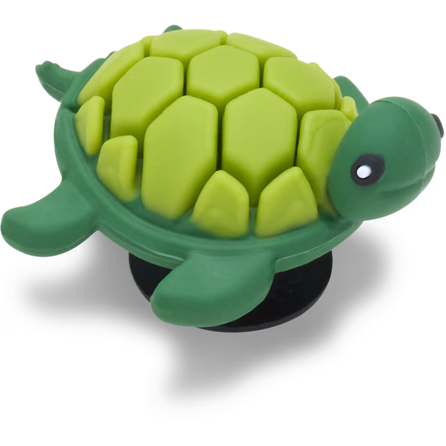 3D UV Changing Turtle