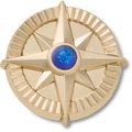 Gold Star Navy Gem