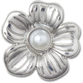 Silver Mnchrm Daisy 2