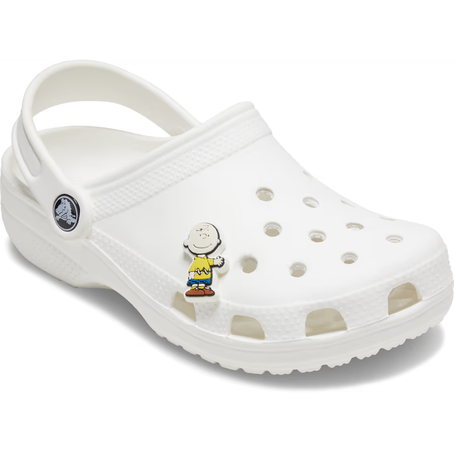 Peanuts® Charlie Brown®