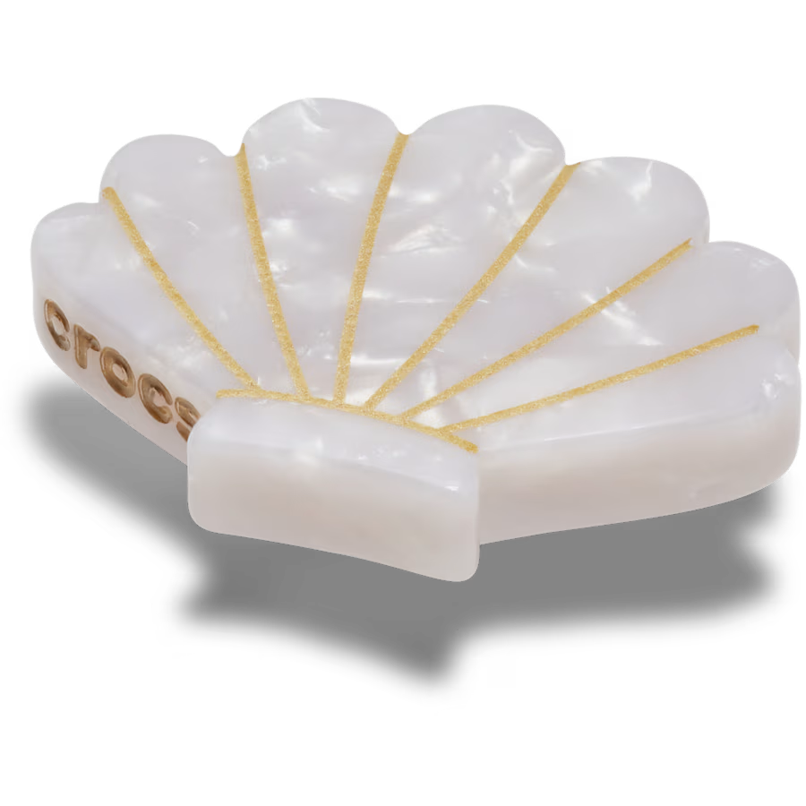 White and Gold Seashell
