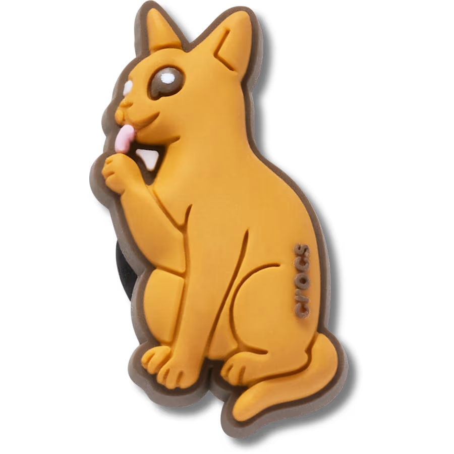 Abyssinian Cat