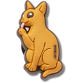 Abyssinian Cat