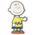 Peanuts® Charlie Brown®