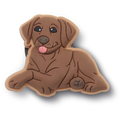 Brown Lab Puppy