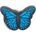 Blue Butterfly