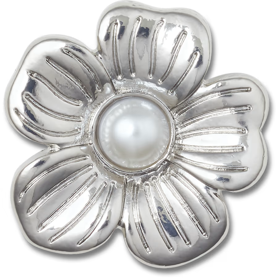 Silver Mnchrm Daisy 2