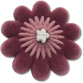 Dark Velvet Flower