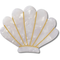 White and Gold Seashell