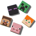 Minecraft 5 Pack