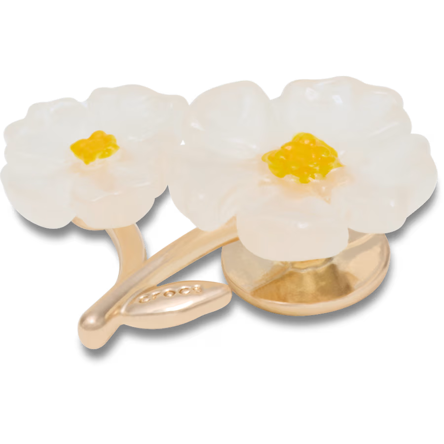 White Floral Blossom