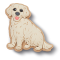 Golden Retriever Puppy
