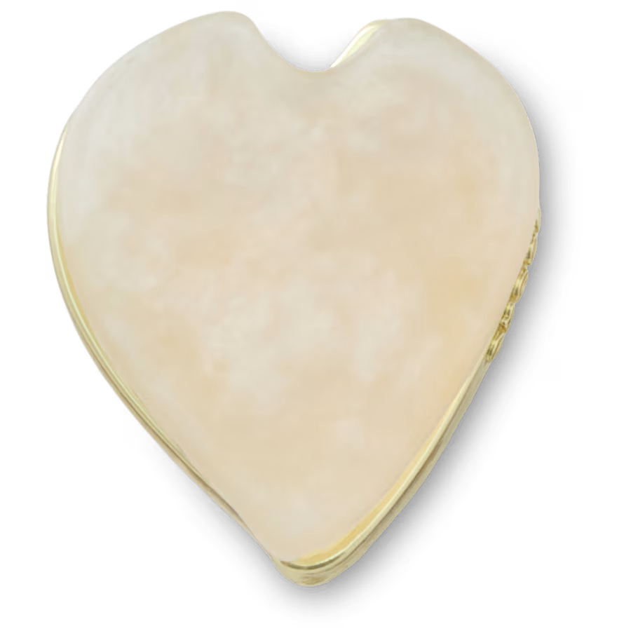 White Flower Petal