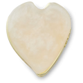 White Flower Petal