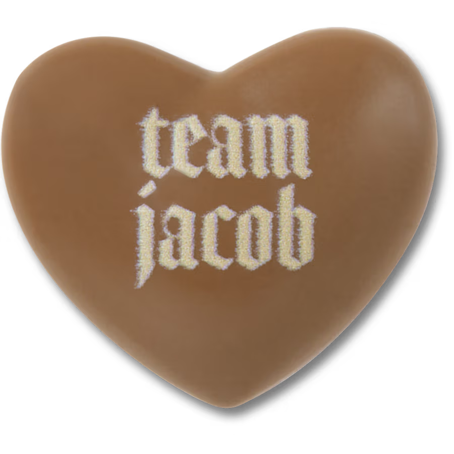 The Twilight Saga Team Jacob