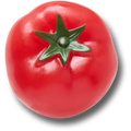 Realistic Tomato