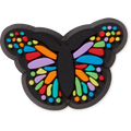 Tiny Colorful Butterfly