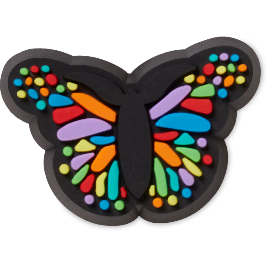 Tiny Colorful Butterfly