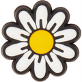 Tiny Daisy