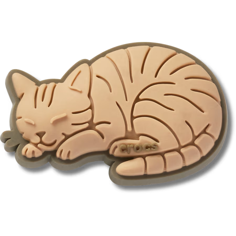 Tabby Cat