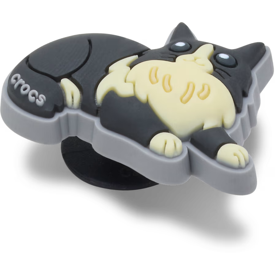 Black Cat With Boots