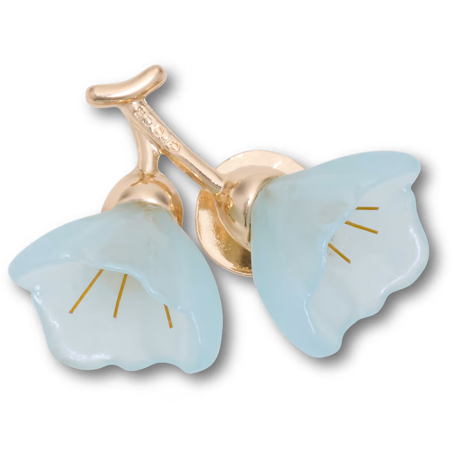 Blue and Gold Flower Blossom